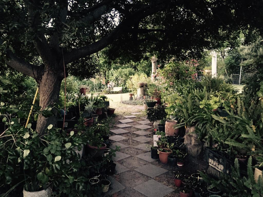 Helderbos Country House Somerset West Buitenkant foto