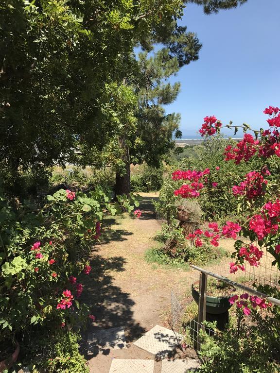 Helderbos Country House Somerset West Buitenkant foto