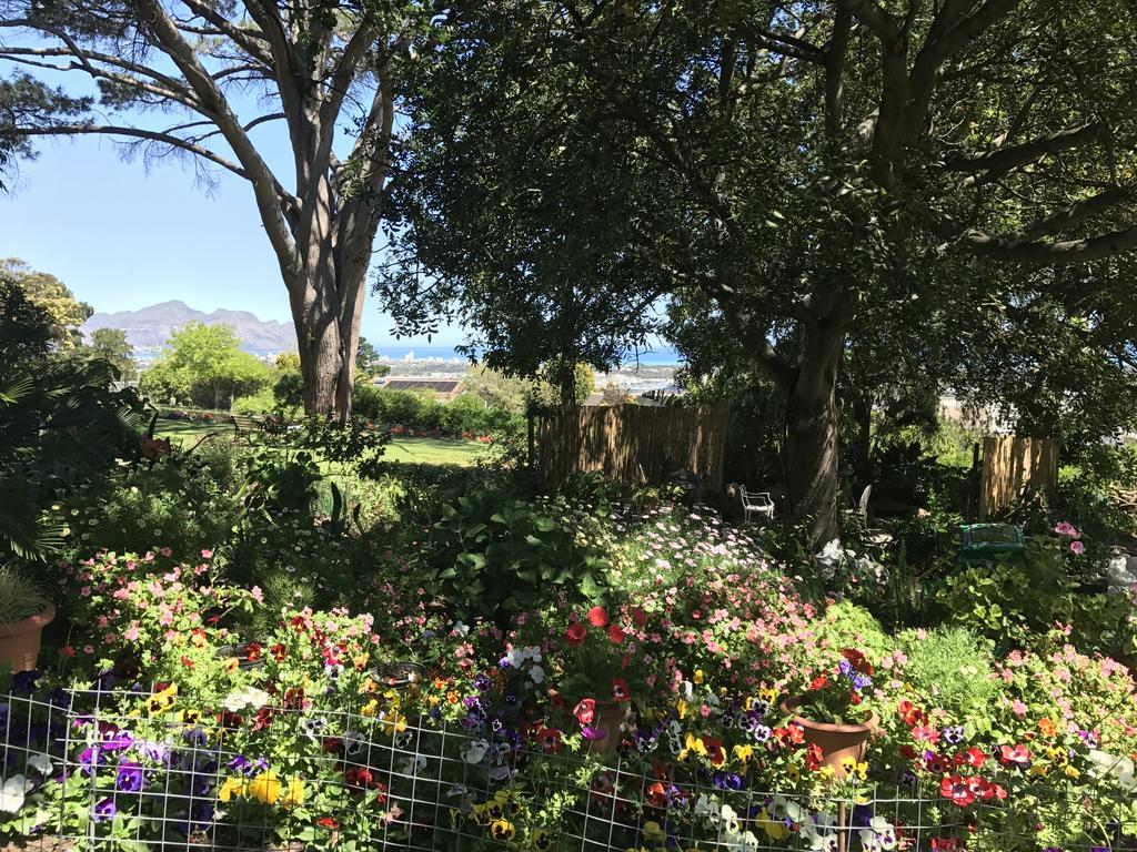 Helderbos Country House Somerset West Buitenkant foto